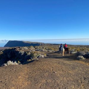 CENTRE EQUESTRE ALTIMERENS