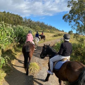 CENTRE EQUESTRE ALTIMERENS