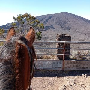 CENTRE EQUESTRE ALTIMERENS