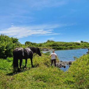 FERME EQUESTRE DU GRAND ETANG