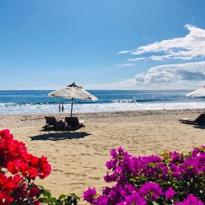 LE SAINT ALEXIS Hôtel & Spa - ALIZOA