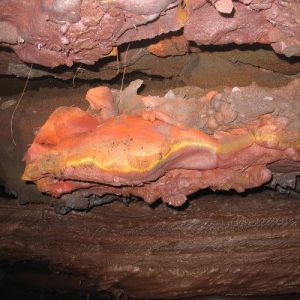 TUNNEL DE LAVE - VOLCANORUN