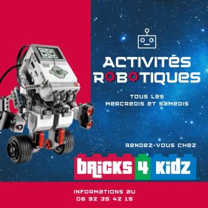 BRICKS 4 KIDZ