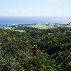 MILLE AVENTURES