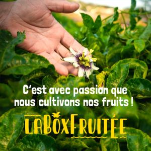 LA BOX FRUITEE
