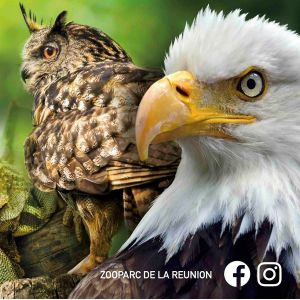 ZOO PARC DE LA REUNION