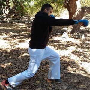 OPTIMIZER KARATE REUNION