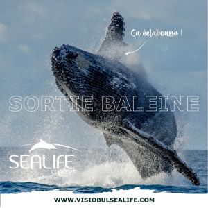 VISIOBUL SEALIFE