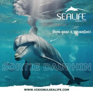 VISIOBUL SEALIFE